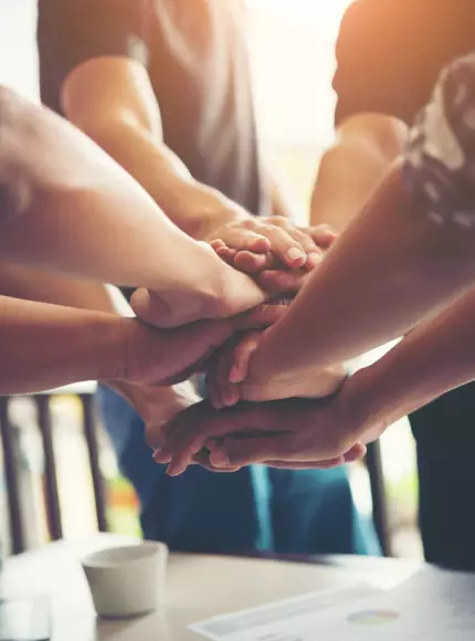 formation iveo consulting